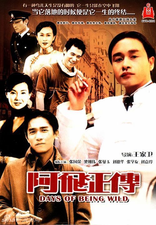 初会学历学位证书编号
